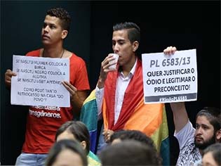 Ativistas protestam contra a aprovação do PL do estatuto da família. Foto: Divulgação/Câmara dos Deputados.