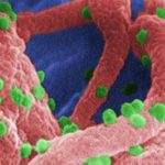 http://exame.abril.com.br/tecnologia/noticias/cientistas-britanicos-podem-ter-encontrado-a-cura-para-o-hiv